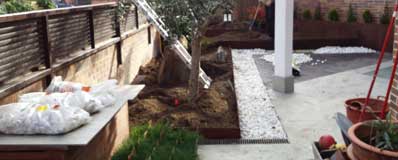 Dise&ntilde;o de jardines